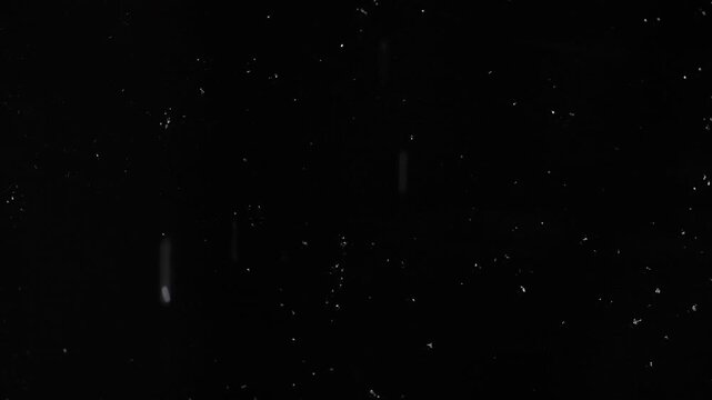 Tiny snow or dust randomly flying in the smoky air, empty space template for objects advertisement. Many dust particles cloud of white powder in low light on empty dark black contrast background.