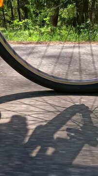 A view of a bicycle wheel with visible spokes rolling along a forest path, the shadow of a cyclist stretching along a sun-drenched sidewalk between tall pine trees.