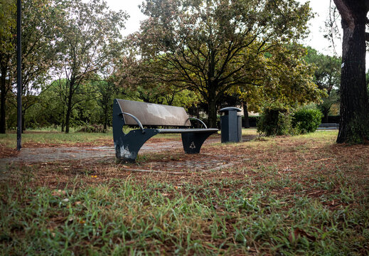 Panchina vuota in un parco pubblico circondata da alberi e foglie secche sul prato, concetto di solitudine, relax e quiete urbana in una giornata autunnale o di fine estate