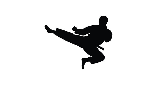 Martial artist silhouette demonstrates a dynamic kick against a white background