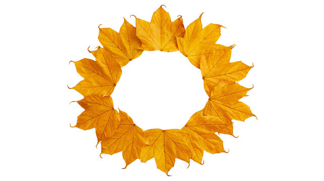Circular wreath of vibrant orange and yellow autumn maple leaves