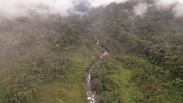 Aerial view of Rio Aliso, a river valley flowing out of the Andes towards the Amazon, through pristine montane rainforest on the slopes of the Andes near Cosanga, Ecuador