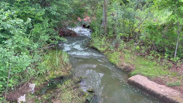 Steady shot of rushing water cutting a channel through a green thicket with red clay soil banks.