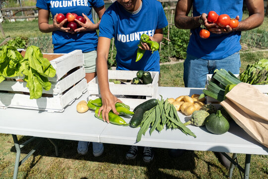 Volunteers sorting fresh produce, promoting charity and sustainable living