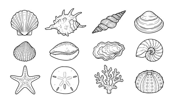 Hand Drawn Seashell and Starfish Outline Doodle Vector Collection