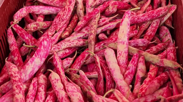 Close-up of fresh pink and red speckled bean pods filling a container, showing varied natural patterns.
