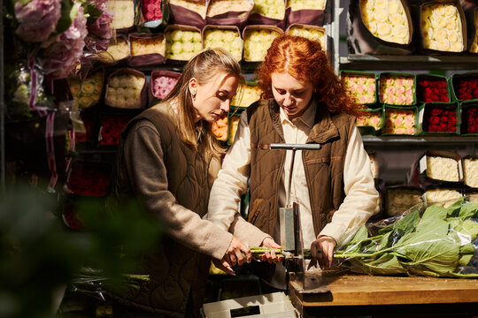 Two young Caucasian female florists cutting flower stems using stalk cutter machine inside wholesale flower shop. Image suitable for small business and entrepreneurship themes