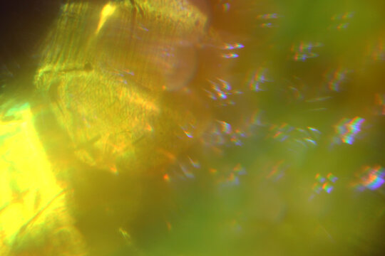 Abstract close-up of colorful glass droplets with light reflections. The scene features warm hues of orange, yellow, and green, creating vibrant atmosphere.