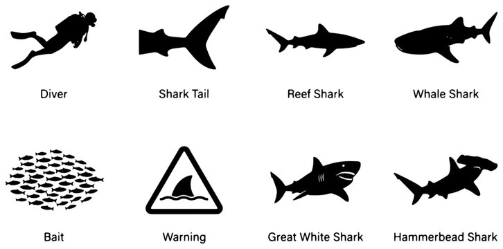 Shark Silhouettes Collection: Diver, Bait, Warning Sign, Reef, Great White, Hammerhead, Whale Sharks, and Tail Icons for Ocean Safety and Marine Life Graphics
