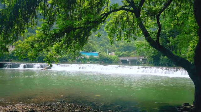 Scenic Summer River Landscape with Weir and Willow Trees