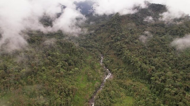 Aerial view of Rio Aliso, a river valley flowing out of the Andes towards the Amazon, through pristine montane rainforest on the slopes of the Andes near Cosanga, Ecuador