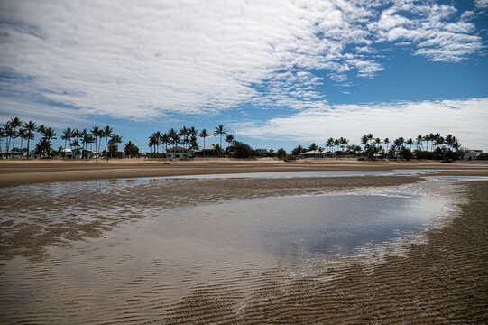Tropical Beach at Low Tide with Palm Trees in Bowen, Queensland, Australia