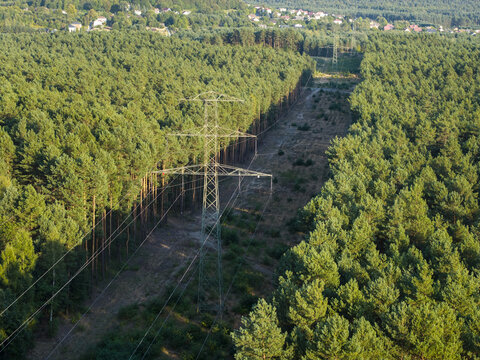 Aerial view of high voltage transmission corridor through a pine forest