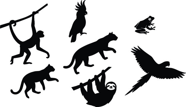 Tropical Wildlife Silhouette Collection Featuring Monkey Sloth Frog Eagle Panther and Exotic Animals for Jungle Nature Safari and Adventure Designs