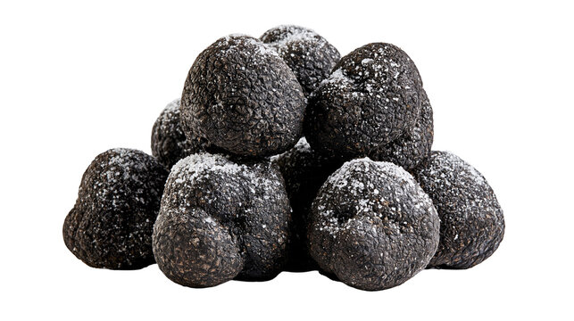 Fresh raw black truffles with textured skin and dusting of soil