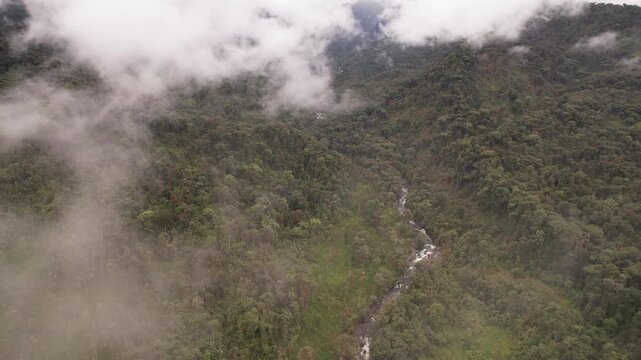 Aerial view of Rio Aliso, a river valley flowing out of the Andes towards the Amazon, through pristine montane rainforest on the slopes of the Andes near Cosanga, Ecuador