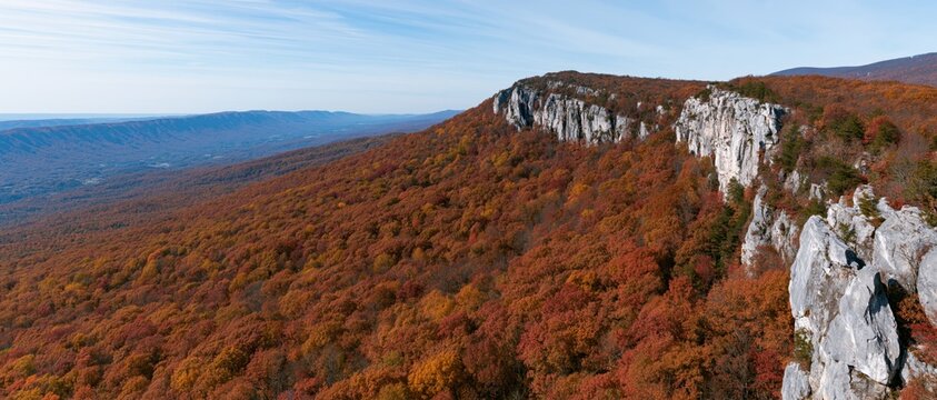 The Autumn Cliff Overlook Framed by Crimson Forests and Expansive Horizon