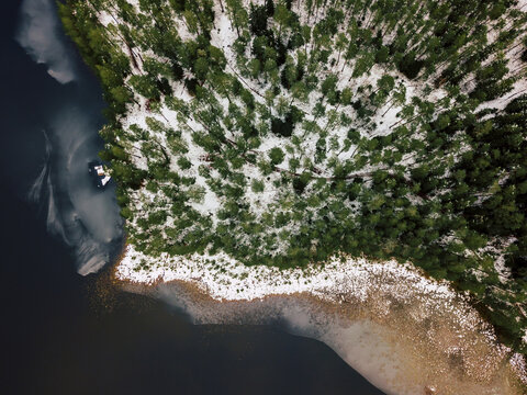 Aerial view of a snow-covered pine forest bordering a dark lake in Latvia.