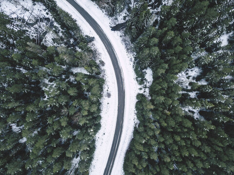 Aerial view of a winding road cutting through a dense pine forest covered in fresh snow during winter, Latvia.