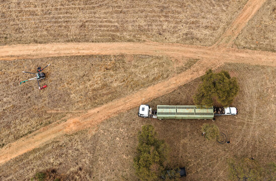 Aerial view of a helicopter and a game capture truck with a ground team preparing for a wildlife management operation in a dry savanna landscape in Thabazimbi, Limpopo, South Africa.
