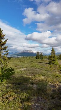 Aerial view of scenery in Norway - Scandinavia - vertical 4K video