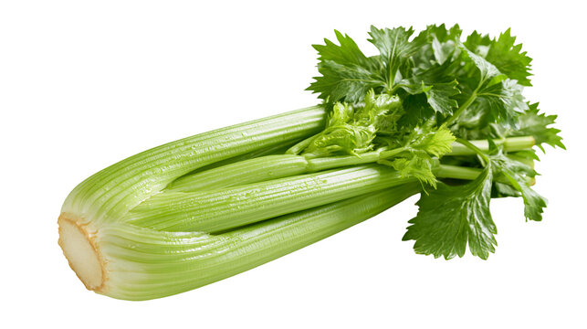 Fresh green celery stalk bunch with leafy tops