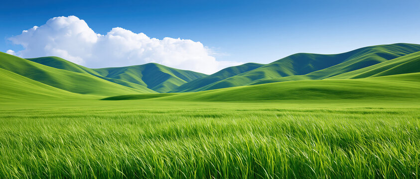 Green grass field rolling hill blue sky white cloud panoramic landscape lush meadow rural scenery summer season natural background open plain