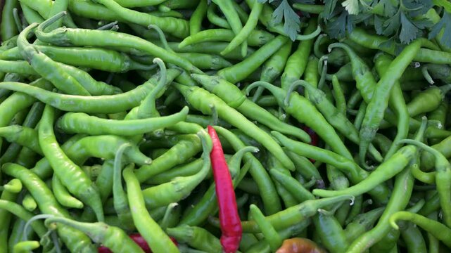 Fresh long green chili peppers in a large pile on a market stall. Vibrant green chili peppers displayed at a local fresh produce market.