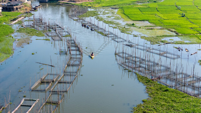 Aerial view of a small boat navigating through traditional fish farming cages in a river surrounded by vibrant green rice paddies in Salatiga, Central Java, Indonesia.