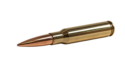Shiny brass rifle cartridge with copper jacketed bullet © Eustace