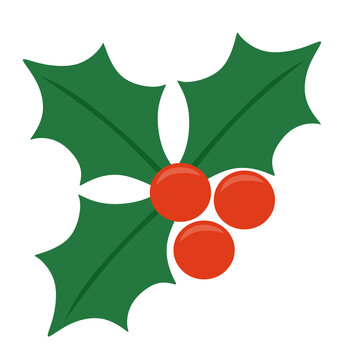 Green holly leaves frame three red berries