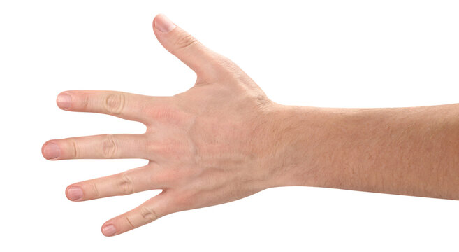 Open male hand with spread fingers, isolated on transparent cutout background