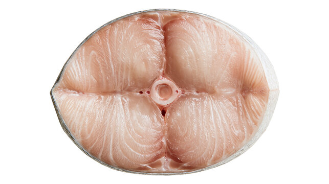 Fresh raw king mackerel fish steak cross section slice