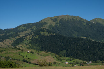 Obraz premium Scenic View of Green Alpine Mountains and Forested Valley Under Clear Sky
