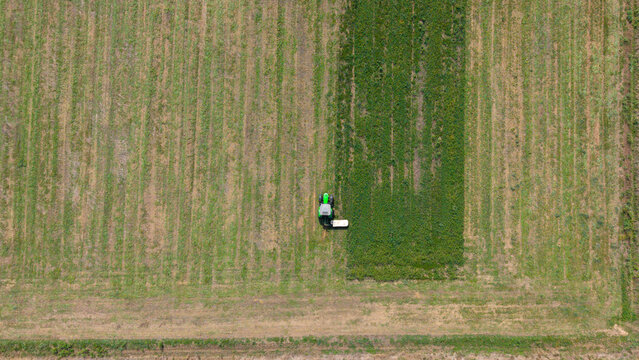 Aerial view of a green tractor mowing grass in a large agricultural field with visible cut and uncut rows in Cornaredo, Lombardy, Italy.