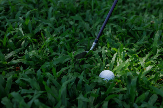 Golf club aiming at a white golf ball lying in dense green rough grass, showing a difficult shot and the challenge of navigating the golf course