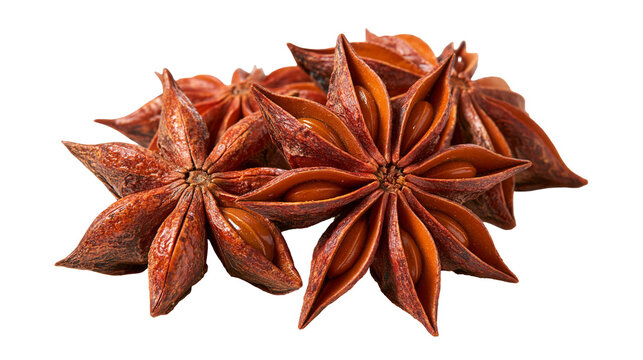 Dried star anise spice pods with visible seeds