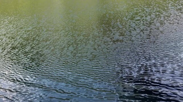 Handheld shot of ripples showing wind patterns shifting across a dark glass-like lake waters.