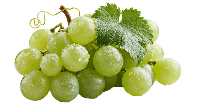 Fresh green grapes cluster with water droplets and a single vine leaf