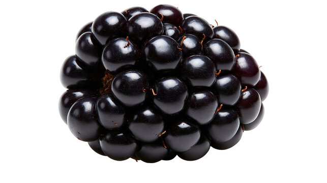 Ripe juicy blackberry fruit with glossy dark purple drupelets