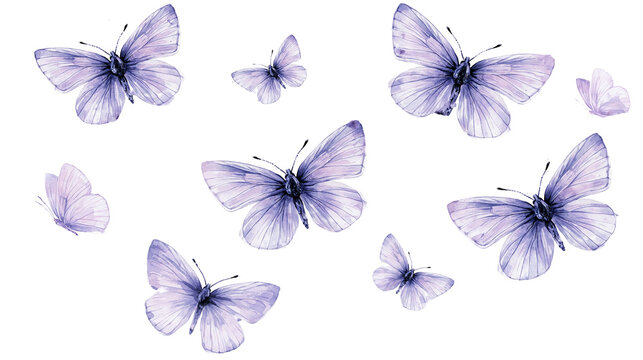 Group of delicate light purple watercolor butterflies with translucent wings