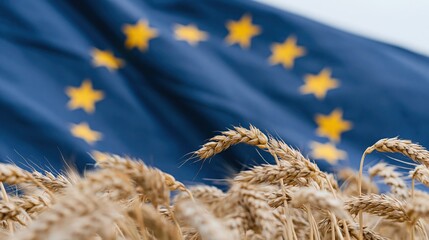 Obraz premium The Wheat Field Under the European Union Flag in Soft Morning Light