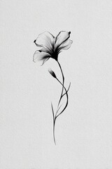 Obraz premium Elegant monochrome floral illustration.