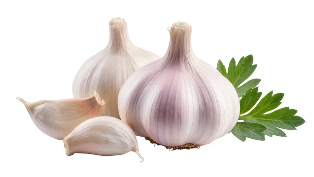 Two whole garlic bulbs and three cloves with parsley leaves, isolated on transparent background