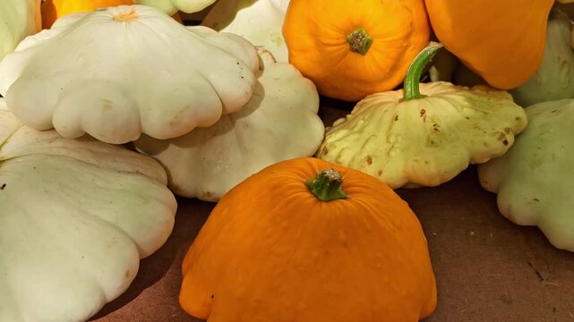 Gentle tilt down explores white and orange pattypan squash arranged together