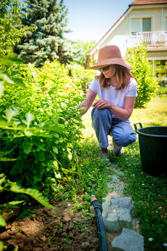 Woman gardening in vegetable garden