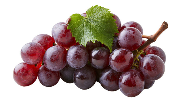 Fresh ripe red grapes cluster with a green leaf and woody stem
