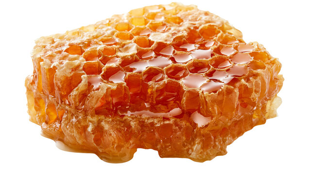 Fresh golden honeycomb block with dripping raw organic honey