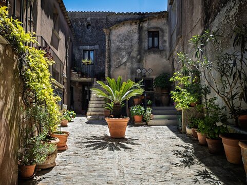 Picturesque Mediterranean travel photograph featuring a sun-drenched internal courtyard filled with green plants in Erice, ideal for Sicilian lifestyle guides and travel media.