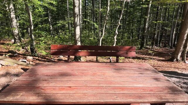 Rustic picnic table surrounded by woodland. Dappled sunlight, fallen leaves, and natural forest surroundings create a peaceful atmosphere associated with outdoor dining